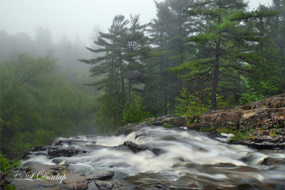 12.1 - Chester Creek, Top Of Falls, Early Morning Fog
