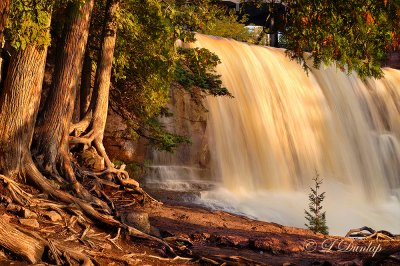 *** 21 - Gooseberry Middle Falls, Golden Light