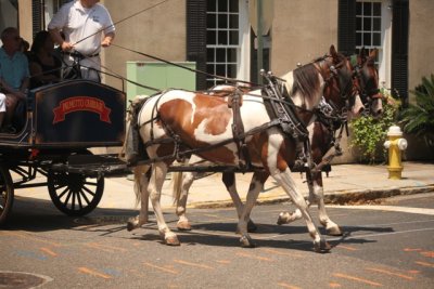 Savannah and Charleston