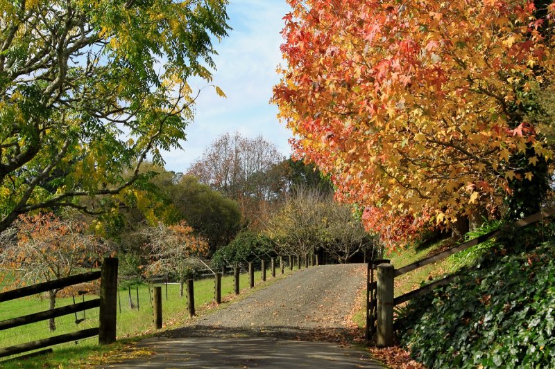 Colours of Autumn