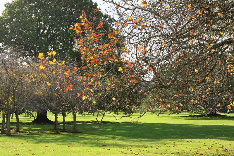 Colours of Autumn