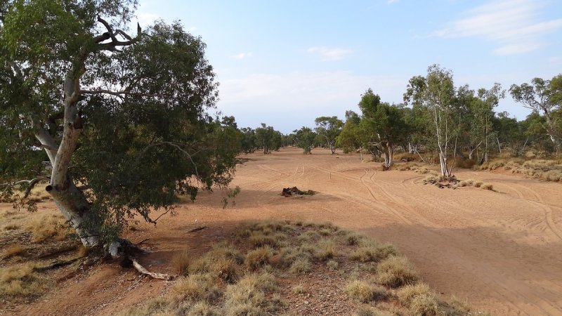 Todd River bed, Alice Springs.