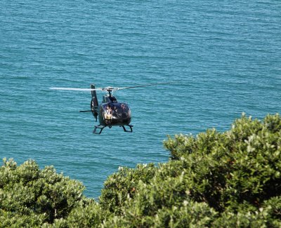 Neighbour arriving flying up from the bottom of the cliff towards me !!