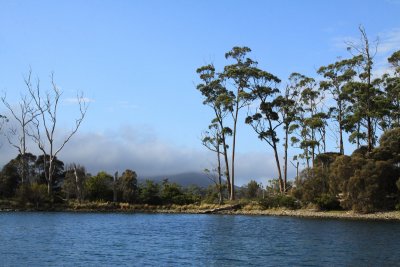 The view leaving the jetty in Port Arthur