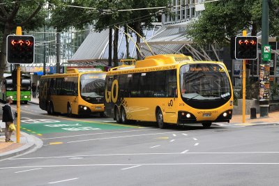 Yellow buses - Wellington City.