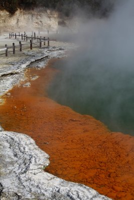 Wai - o -Tapu - Geothermal  Champagne Pool