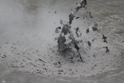 Mud Pools -   Wai - o -Tapu