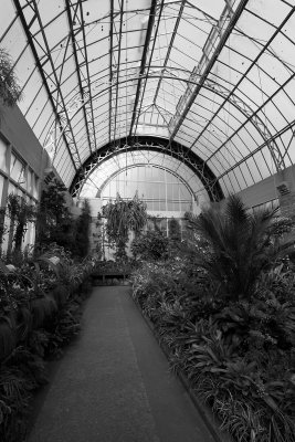 Inside one of the glass houses...Wintergarden - Auckland.