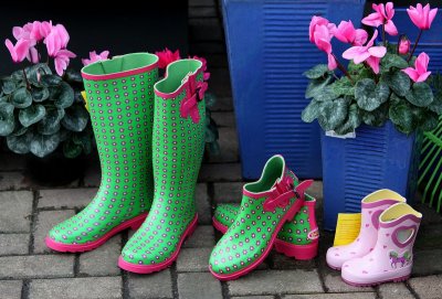 Colourful Gumboots  as we call them in New Zealand...