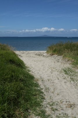Track to the beach. Te Haruhi Bay