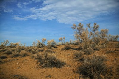 Near Balchash lake