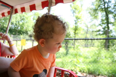 Fun on the Zoo Train  IMG_2435.JPG