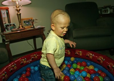 Proof he can stand on his own!  IMG_2583c.jpg