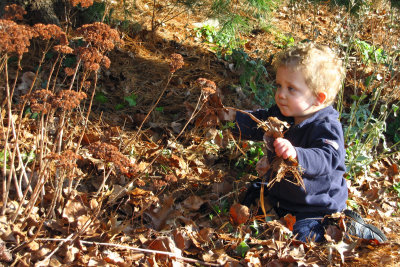 Exploring Grandma's Yard  IMG_7915c.jpg