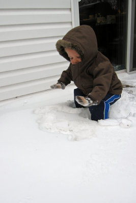 IMG_8005c.jpg