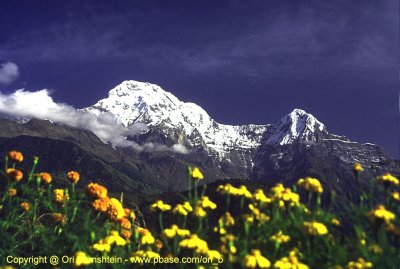 Anapurna base camp trek , Nepal , 1992