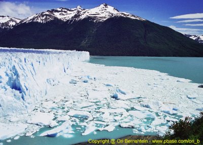 Perito Moreno , Argentina , 2001