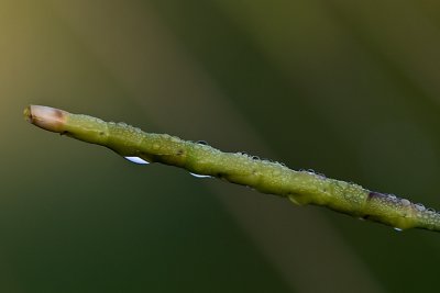 4676.jpg