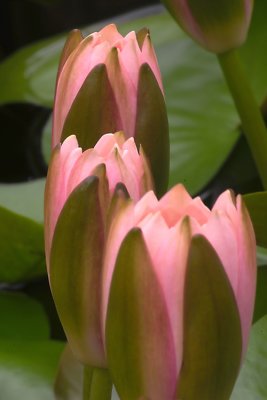 2-4690.jpg