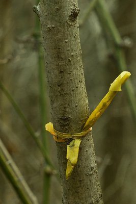 021812-6598.jpg