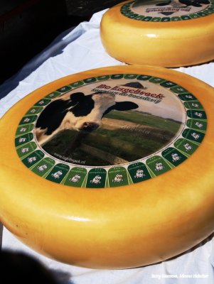 Kaas van de Lagebroek uit Zegveld
