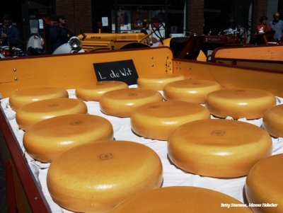 Goudse op transport