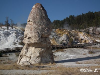 Mammoth hot spring