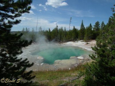 Stemboat geyser