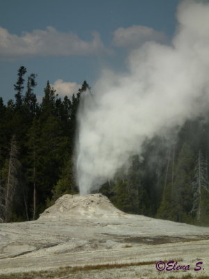 Lion geyser group