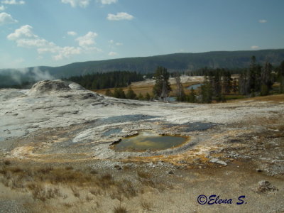 Lion geyser group