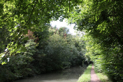 2008-08 Grand Union Canal near Tring, Hertfordshire