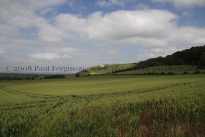 Views of Wiltshire