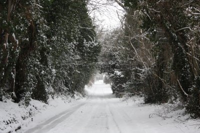 2009-02-02,03 Snow in Kings Langley