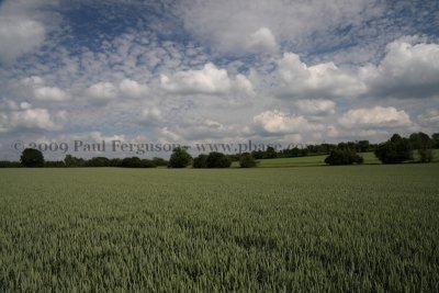 2009_06_13 15_28_41 IMG_5504.JPG - © Paul Ferguson 2009