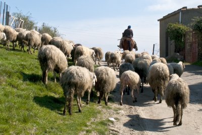 UN PO 'DI TUTTO (a little bit of everything)