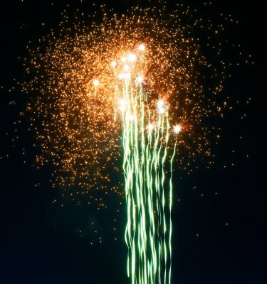 Fireworks-Cypress-Tails