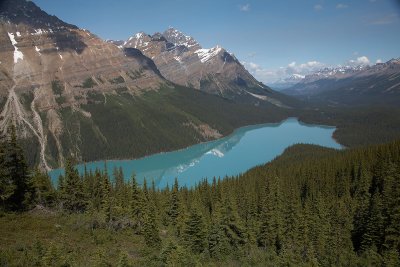 Bruce Smith - Peyto Lake in July