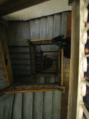 IMG_3527.JPG