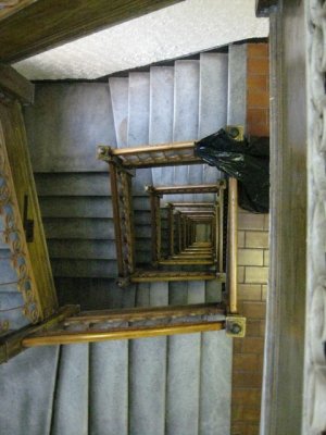 IMG_3529.JPG