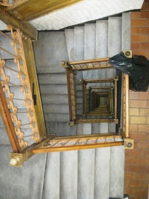 IMG_3532.JPG