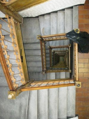 IMG_3533.JPG