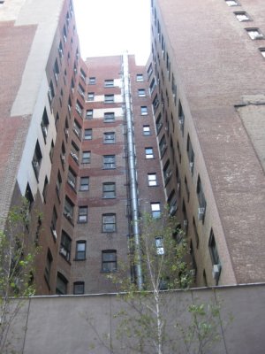 IMG_3536.JPG