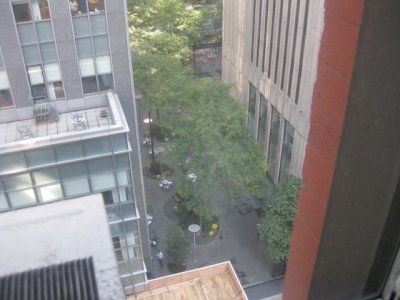 IMG_3553.JPG