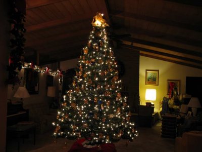 IMG_0145.JPG