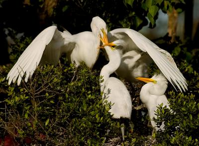 Feeding ..