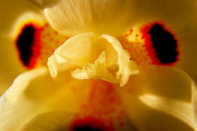 web_3104.jpg