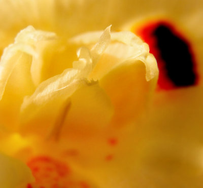 web_3112.jpg