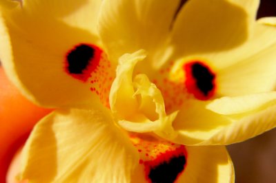 web_3115.jpg