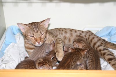 Play is enjoying motherhood