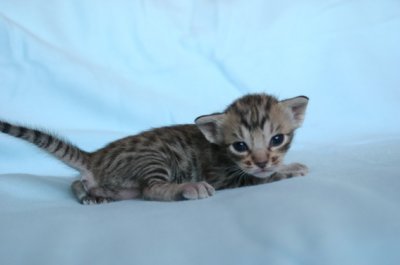 A big boy already